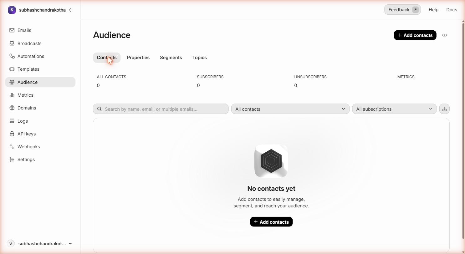 Resend Audiences page